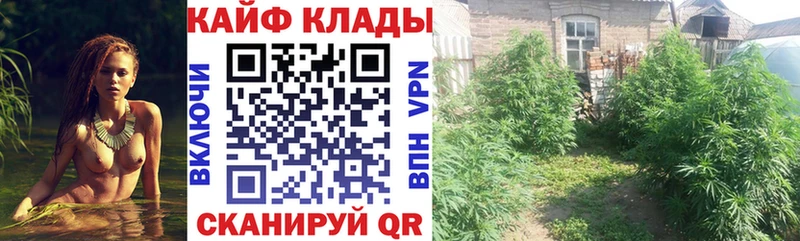 COCAIN Кодинск