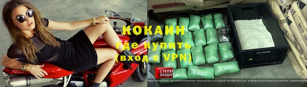 индика Инта