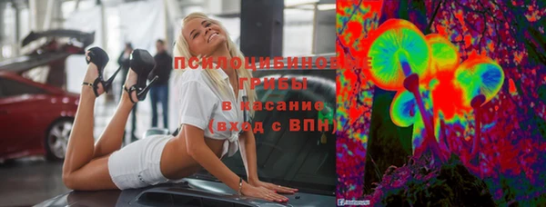 индика Инта