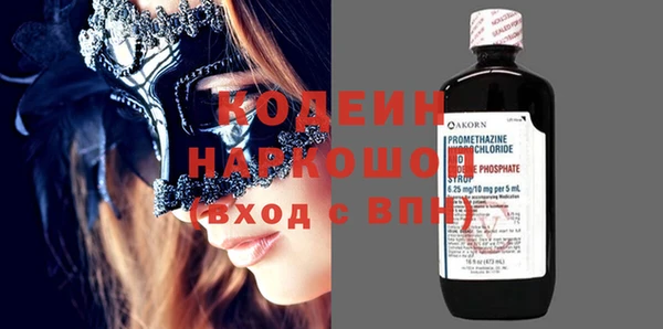 индика Инта