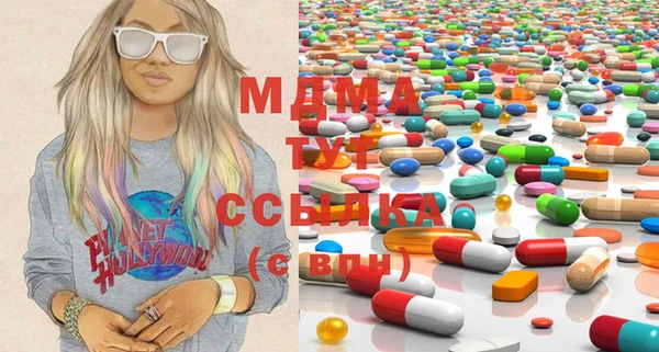 индика Инта