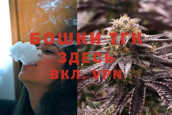 индика Инта