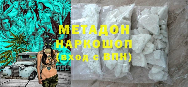 индика Инта