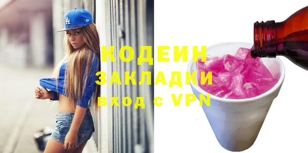 индика Инта