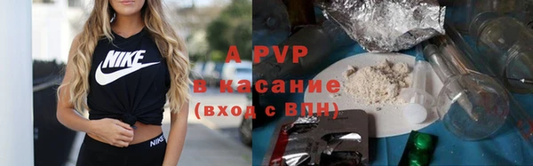 индика Инта