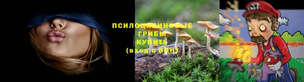 индика Инта