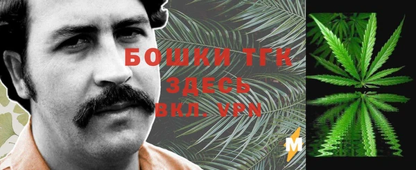 индика Инта