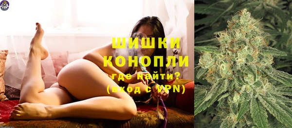индика Инта