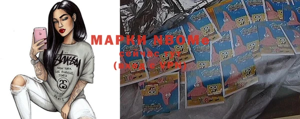 индика Инта