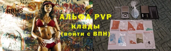 индика Инта