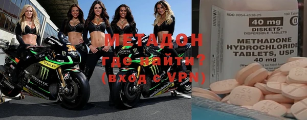 индика Инта